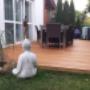 Grilz-Holz Pergola Zäune Grilz-Holz Pergola Zäune
