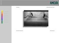 Amcur - Wirtschaftstreuhand GesmbH