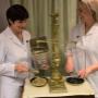 Apotheke zum Schwarzen Adler Mag. pharm. Anna Ratt KG in Mauerkirchen Apotheke zum Schwarzen Adler Mag. pharm. Anna Ratt KG in Mauerkirchen