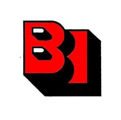 Bachner Bauunternehmung GmbH