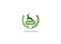 Website von Wolfgang Banny