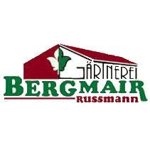 Bergmair-Russmann Engelbert