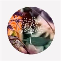 Lehner Blumen - Meisterflorist
