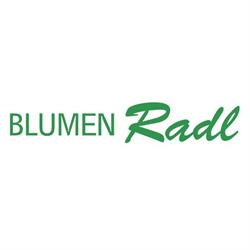 Blumen Radl