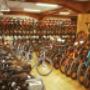 RAD - SPORT - BRUCKI - Inh. Ondrey Nina