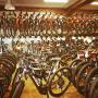 RAD - SPORT - BRUCKI - Inh. Ondrey Nina