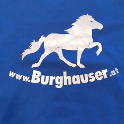 Islandpferdereithof Burghauser