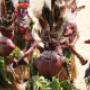 Goroka Festival, Papua Neuguinea