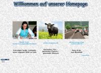 Bioenergie Schlitters GmbH