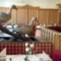 Hotel Gänsleit