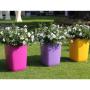 Gartenglück GartengestaltungsgesmbH  4030 Linz