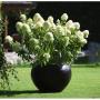 Gartenglück GartengestaltungsgesmbH  4030 Linz