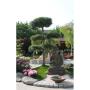 Gartenglück GartengestaltungsgesmbH  4030 Linz