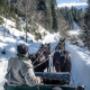 Pferdekutschenfahrt im Winter
