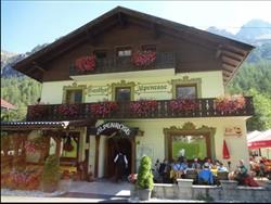 Alpenrose Gschnitz