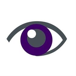 Hatzmann Die Augenoptik