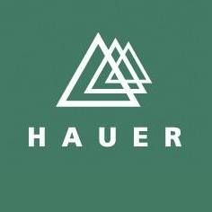 Hauer Holztechnik GmbH