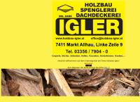 Ing. Hans Igler