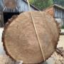 Holzschindeln erfüllen die Anforderungen der Öko-Bilanz!
Holzschindeln von Natur aus ökologisch (TM)