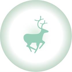 Seehotel Hubertushof GmbH