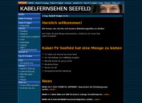 Website von Ing. Rudolf Geiger & Co., Kabelfernsehen, Seefeld
