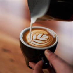 Cafe Konditorei Hutter KG