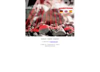 Website von LASERTRONIK GmbH
