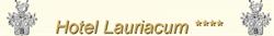 Hotel Restaurant Lauriacum Ges. mbH & Co KG