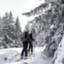 Verschneiter Wald beim Hotel Lercher