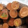 Morre & Co HandelsgesmbH