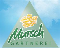 Franz Mursch