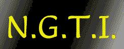 N.g.t.i. Nächste Generation Thermoprozesstechnik Industrieofensysteme GmbH