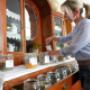 Vielfalt an heilsamen Kräutertees_www.tem-zentrum.at Vielfalt an heilsamen Kräutertees_www.tem-zentrum.at