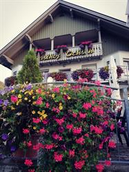 Gasthof Garni Ochsen