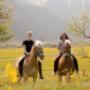 Pferdeshooting im Freien!!!