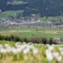 Unterkünfte finden und buchen - Radstadt