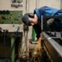 REX Metal Solutions