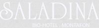 Hotel Saladina GmbH