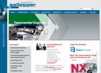 Website von Ing. Sallegger GmbH & Co KEG