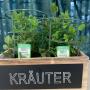Kräuter Salzburger Blumenhof Gartenbau
Ein- und Verkaufsgenossenschaft reg. Gen.m.b.H 5020 Salzburg