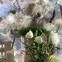 Federn weiss grün Salzburger Blumenhof Gartenbau
Ein- und Verkaufsgenossenschaft reg. Gen.m.b.H 5020 Salzburg