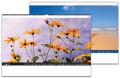Kalender