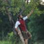 Herren Tracht - Steirisch