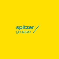 Spitzer Dach