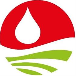 Spitzer Installationen GmbH