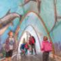 Bergbahnen Steinplatte Waidring/Triassic Park Bergbahnen Steinplatte Waidring/Triassic Park