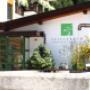 Biohotel-Stillebach-Hausbrunnen