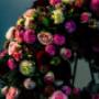 DB - die Blumenbinderei