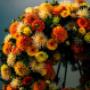 DB - die Blumenbinderei