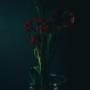 DB - die Blumenbinderei